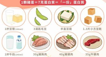 蛋白質攝取量多少才夠？解析高蛋白食物排行與增肌減脂吃法