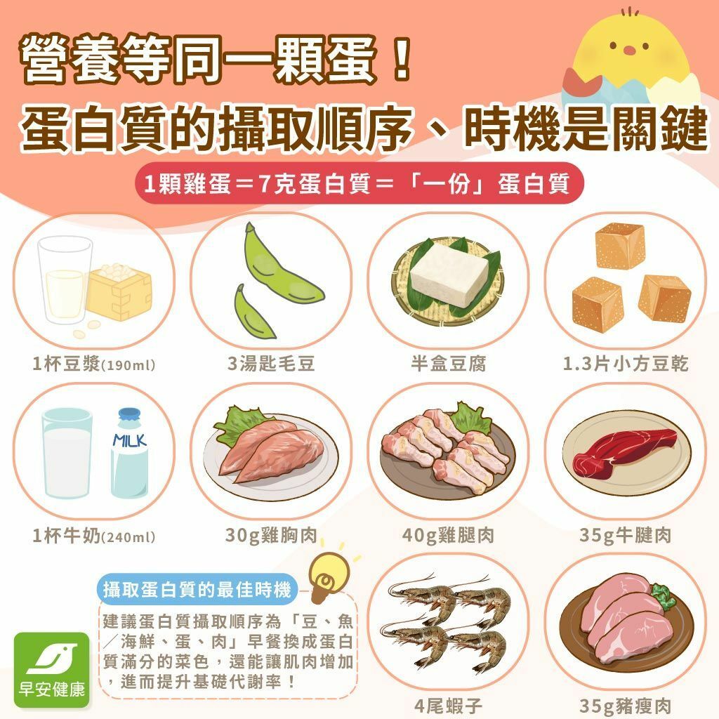蛋白質攝取量多少才夠？解析高蛋白食物排行與增肌減脂吃法