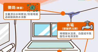 浴室磁磚清潔全攻略：根除磁磚發霉、矽利康黑垢終極清除術